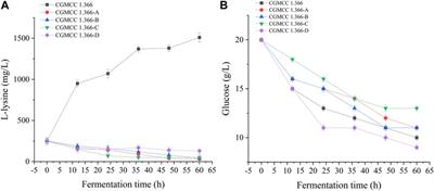 Study on the construction technology of β-alanine synthesizing Escherichia coli based on cellulosome assembly